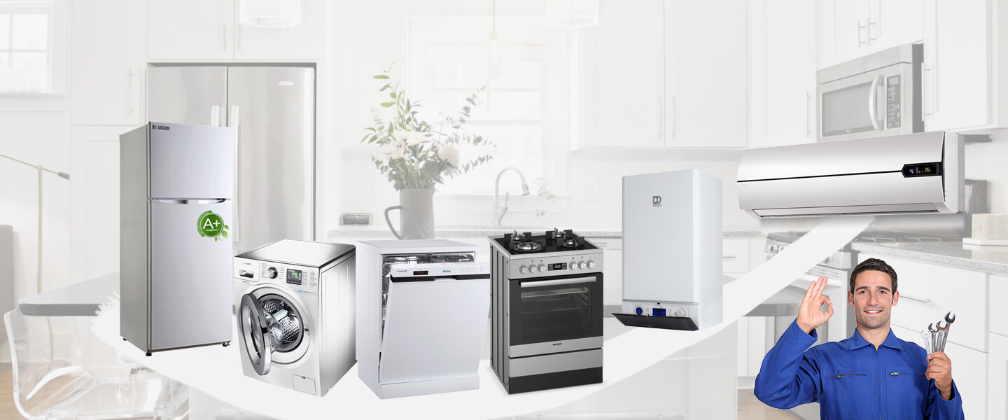 Ezine Liebherr Servisi
